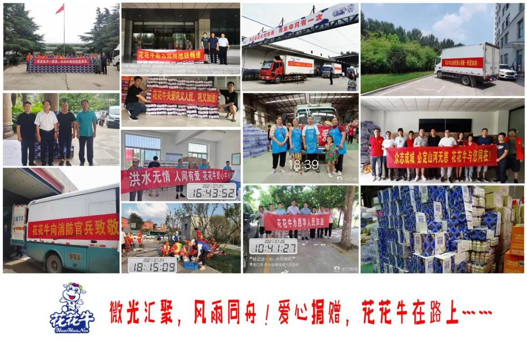 【乳報·聚焦】“豫”難而上的中原牛人“太中了”！