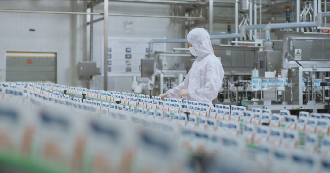 快訊 | 河南省人民政府食品安全委員會辦公室第三批食品安全示范區驗收組領導蒞臨花花牛乳業集團驗收食品安全示范區建設情況